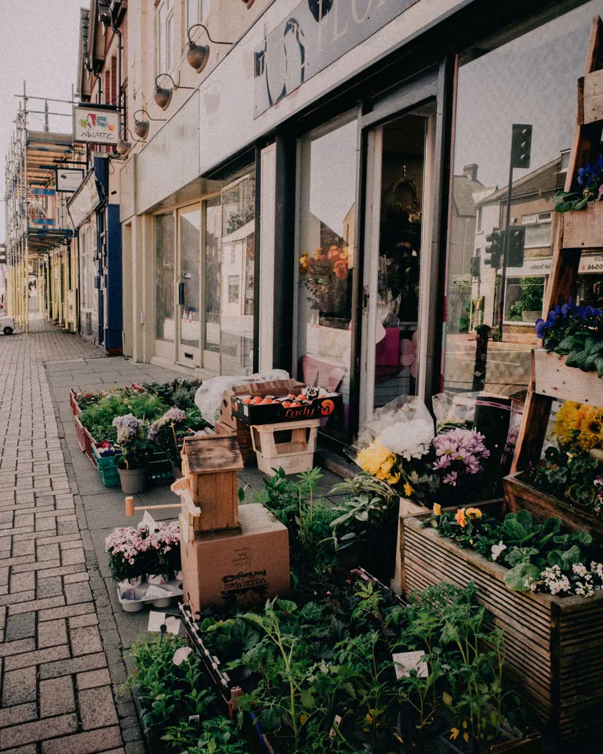 An independent shop front with flowers and plants outside